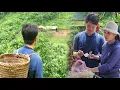 Download Lagu On the way to the market to buy things, Linh looked for Mai and stopped by her small house.