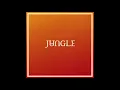 Candle Flame - Jungle feat. Erick the Architect
