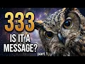 333 Seeing an Owl Here s What the Universe is Telling You