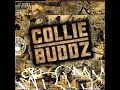 Tomorrow's Another Day - Collie Buddz