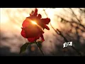 ODESZA - Sun Models (feat. Madelyn Grant)
