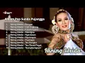 Download Lagu Album Pop Sunda Pujangga ~ Nining Meida