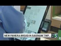 New Panera Bread now open in Saginaw Township
