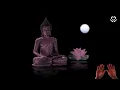Reiki for Worries • Let Go Of Fear • Calm Anxiety, Overactive Mind, Chronic Worry • Energy Healing