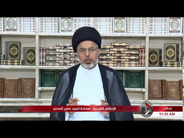 السيد خضير المدني _ هل يجوز اكل الطحال ؟