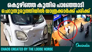ഉടമയുടെ വീട്ടിലേക്ക് വിരണ്ടോടിയ കുതിര, visuals from Cheruthuruthi