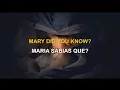 Mary Did You Know Karaoke - Maria Sabias Que Karaoke