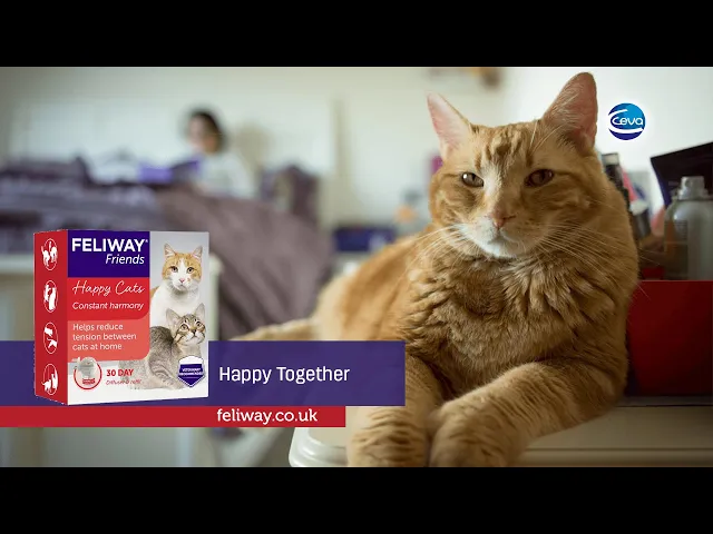 Feliway Friends Diffuser + 48mL Vial