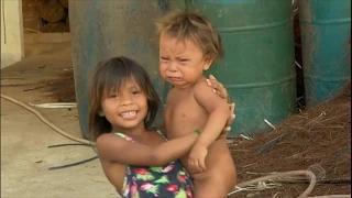 A Grande Reportagem denuncia contrabando de peixes ornamentais na Amazônia