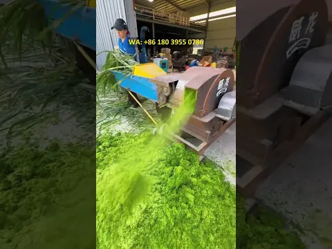 Forage pulping machine, silage and hay pulping equipment, machine testing video #machine
