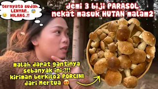 NEKAT KE HUTAN MALAM2 DEMI 3 PARASOL YANG SUDAH LENYAP‼️MALAH DAPAT KIRIMAN PORCINI DARI MERTUA‼️