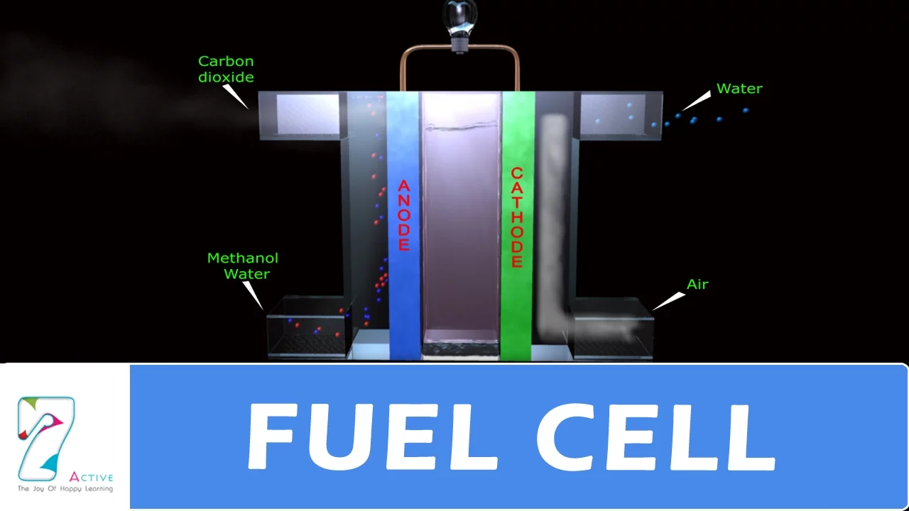 FUEL CELL