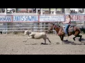 Download Lagu Rodeo In Terry Montana 2003