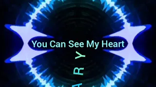 Download You Can See My Heart - Stadium Mix MP3