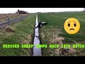 Download Lagu Rescued sheep jumps back into ditch 😁😁 #shorts