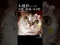[免睡殿] 原唱-溫妮+呂士軒、狐狐Cover. 翻唱-全女聲版、木曜跨界演唱會、木曜4超玩、全民Party、19766549