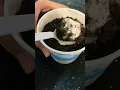 McDonald s Oreo McFlurry