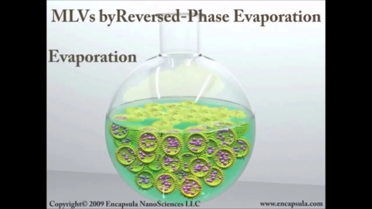 liposomes Introduction and Preparation #liposome  #viral #youtubeshorts