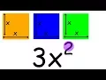 Identify a Monomial