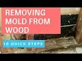 Proven Ways To Remove Mold From Wood How To Remove Mold Inside Walls
