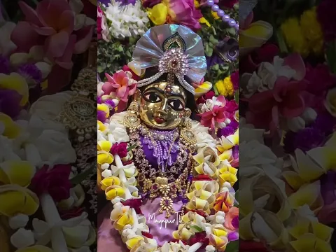 Today's Darshan of Sri Sri Radhamadhava