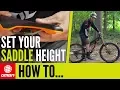 How To Set Your Saddle Height - MTB Pro Tips