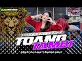 DJ TOANG TAMBI MISSEL LAURA‼️JINGLE EPJ MUSIC FT ABAS BOX COSTUM TERBARU 2024