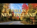 Visiting New England in the Fall Everything You Need To Know