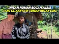 Download Lagu PASUTRI DAN BOCAH AJAIB PEMBERANI TINGGAL DI RUMAH TENGAH HUTAN LUAS HANYA BERDUA GAK ADA TETANGGA !