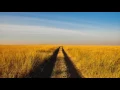 Download Lagu Mzee \u0026 Rafiki ft Salif Keita - We Are All Africans