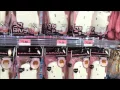Japan in San Diego Daiso Home Store - Kearny Mesa San Diego