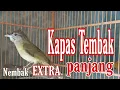 Download Lagu Kapas tembak fighter sadis nembak EXTRA panjang