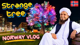 Norway 🇳🇴 me Ajeeb Tree 🌳 Aur raat ka Safar | Mufti Tariq Masood Vlog |mtm live