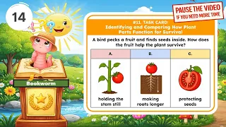 TEKS Science 2nd Grade - 2 13A Plant Parts Function for Survival Task Card
