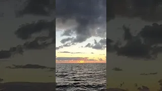Green Flash? Or Glitch? 🌅