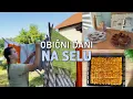 Download Lagu Gewone dagen in JUNI | Vervolg van de bouw van Emils HUIS, Eid-DESSERTS