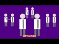 Beginner Job Search Process