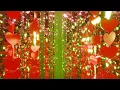 Romantic Valentine s Day Love Heart Curtains - 4K Free Motion Background