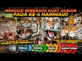 Download Lagu MENGUJI SUARA AUMAN HARIMAU ! TEONA DAN ESHAN MEMPUNYAI SUARA AUMAN DIATAS RATA2 ?!