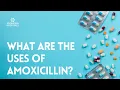 What are the uses of Amoxicillin