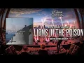 Lions In The Wild vs. Poison (Martin Garrix Mashup)