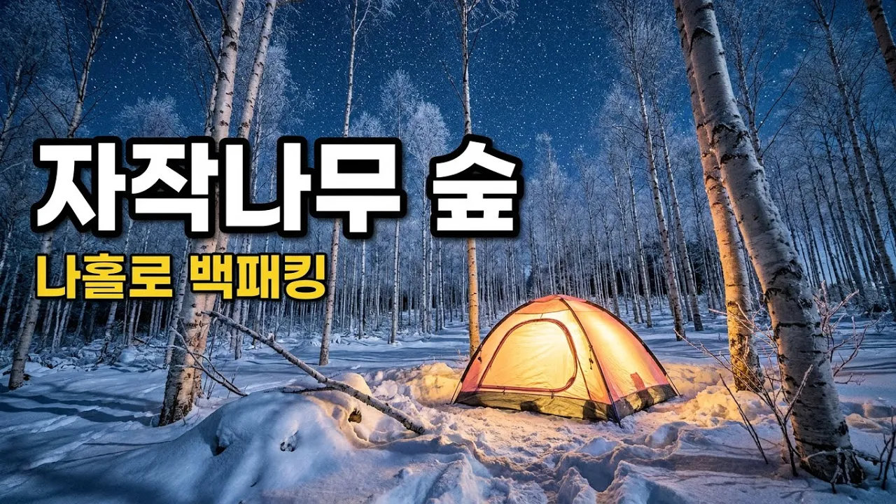 メボン山 天上の森