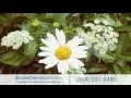 Cremation Services Spartanburg SC - Call us at 864 501-5485