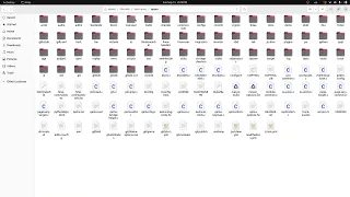 S15 QEMU Emulator debug QEMU Linux Kernel