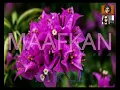 Download Lagu MAAFKAN - Atik CB