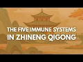 The Five Immune Systems in Zhineng Qigong Live Online Course with Master Yuantong Liu