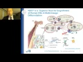 Brian Soper - Humanized NSGTM Mice for Evaluation of Immuno Oncology Therapeutics