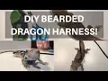 DIY Bearded Pet Harness BEARDED DRAGONS FIRST WALK