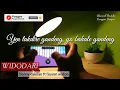 (Keylimba app )WIDODARI - Denny Caknan ft Guyon waton | TUTORIAL KALIMBA || KALIMBA cover with Tabs
