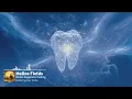 Lagu Dental Epigenetic Healing - Restoring Your Smile (Morphic Field)
